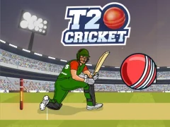 Laro T20 Cricket online