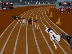 Laro Crazyl Dog Racing Fever online