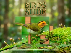 Laro Birds Slide online