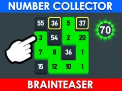 Laro Number Collector: Brainteaser online