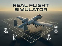 Laro Real Flight Simulator online