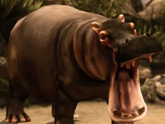 Laro Wild Hippopotamus Hunting online