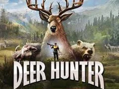 Laro Bear Hunter Shooting King online