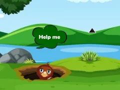 Laro Help Injured Bird Fallen Down online