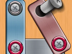 Laro Nuts & Bolts Puzzle online