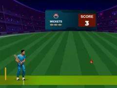 Laro Cricket Night 2 online