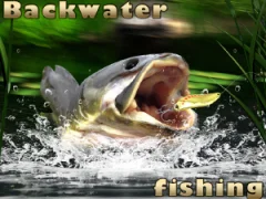 Laro Backwater Fishing online