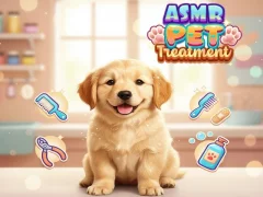 Laro Asmr Pet Treatment online