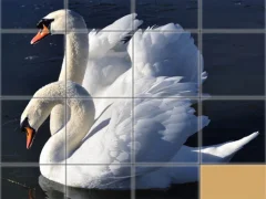 Laro Animals Slide Puzzle online