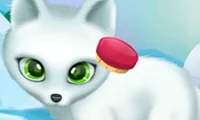 Laro Paws to Beauty Arctic Edition online