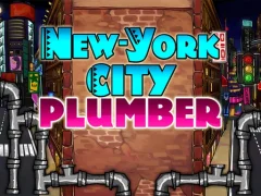 Laro Newyork City Plumber online