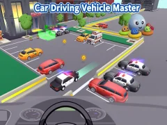 Laro Car Driving Vehicle Master online