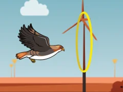 Laro Flying bird online