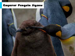 Laro Emperor Penguin Jigsaw online