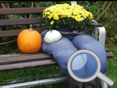 Laro Autumn Garden Find 100 butterflies online