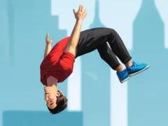 Laro Flip Master online