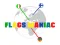 Laro Flags Maniac online