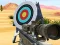 Laro Hit Targets Shooting online