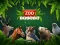 Laro ZOO Trivia online