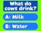 Laro Trivia! Best Family Quiz online