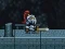 Laro Knight Treasure online