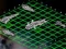 Laro Intergalactic Battleships online