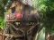 Laro Hidden Treehouse online