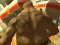 Laro Monster Simulator online