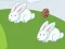 Laro Crazy Eggs online