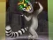 Laro King Julien: Trommel-Tanz online