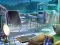 Laro The Mysterious Creatures online