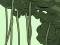 Laro Abandoned the Forest online