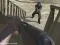 Laro Western:Invasion online