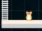Laro Hamster Grid Even Odd online