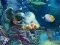Laro Sunken Gold online