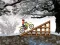 Laro Ice Biker online