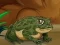 Laro Frogs Matching online