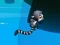 Laro Jungle Jump online