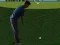 Laro Flash Golf 3D online