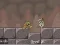 Laro Roly-Poly Eliminator 2 online