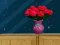 Laro Space House Escape online
