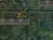 Laro Bunny Adventure online