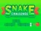 Laro Snake Challenge online