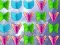 Laro Butterfly Collector online