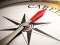 Laro Compass Direction Jigsaw online