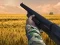 Laro Hunting Challenge online