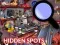 Laro Hidden Spots In The Room online