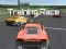 Laro Training Race online