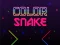 Laro Color Snake online