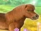 Laro My Dear Pony online